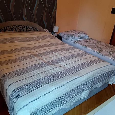 シオーフォク Szuzanna Fenyves Panzio Bed & Breakfast エクステリア 写真